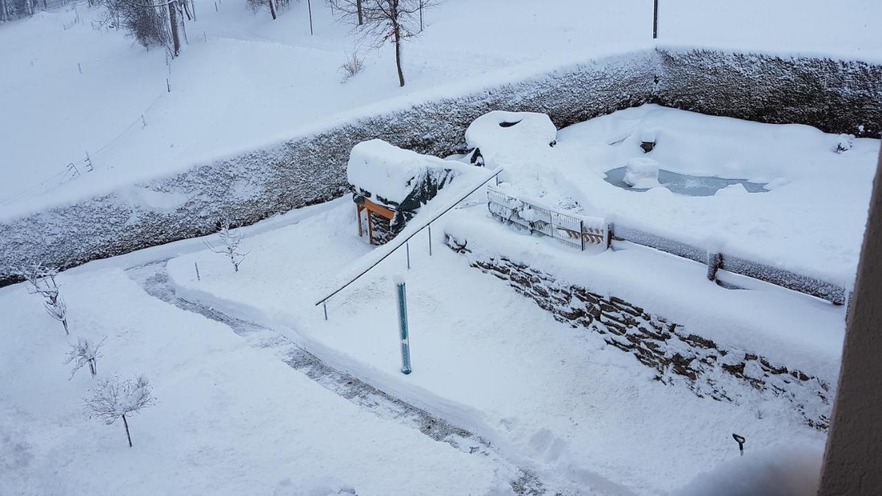 Apartmán Waldhufenidyll Koenigswalde Im Erzgebirge Konigswalde Exteriér fotografie