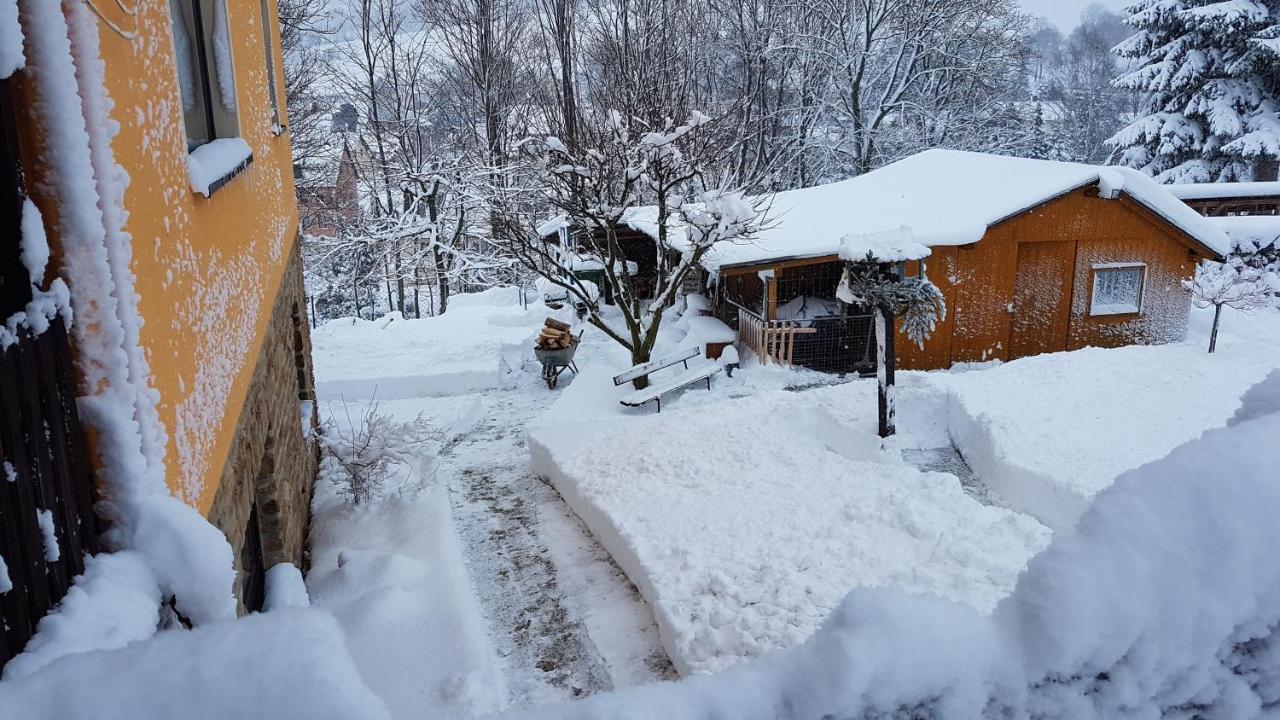Apartmán Waldhufenidyll Koenigswalde Im Erzgebirge Konigswalde Exteriér fotografie