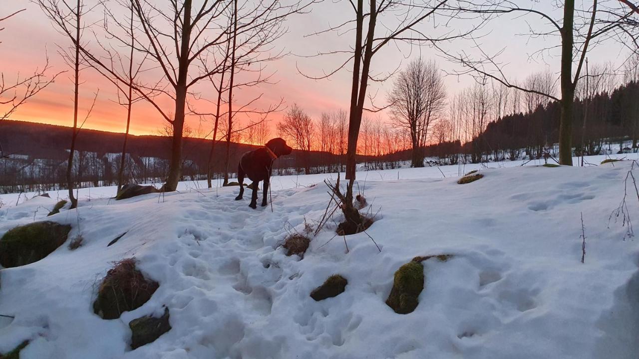 Apartmán Waldhufenidyll Koenigswalde Im Erzgebirge Konigswalde Exteriér fotografie