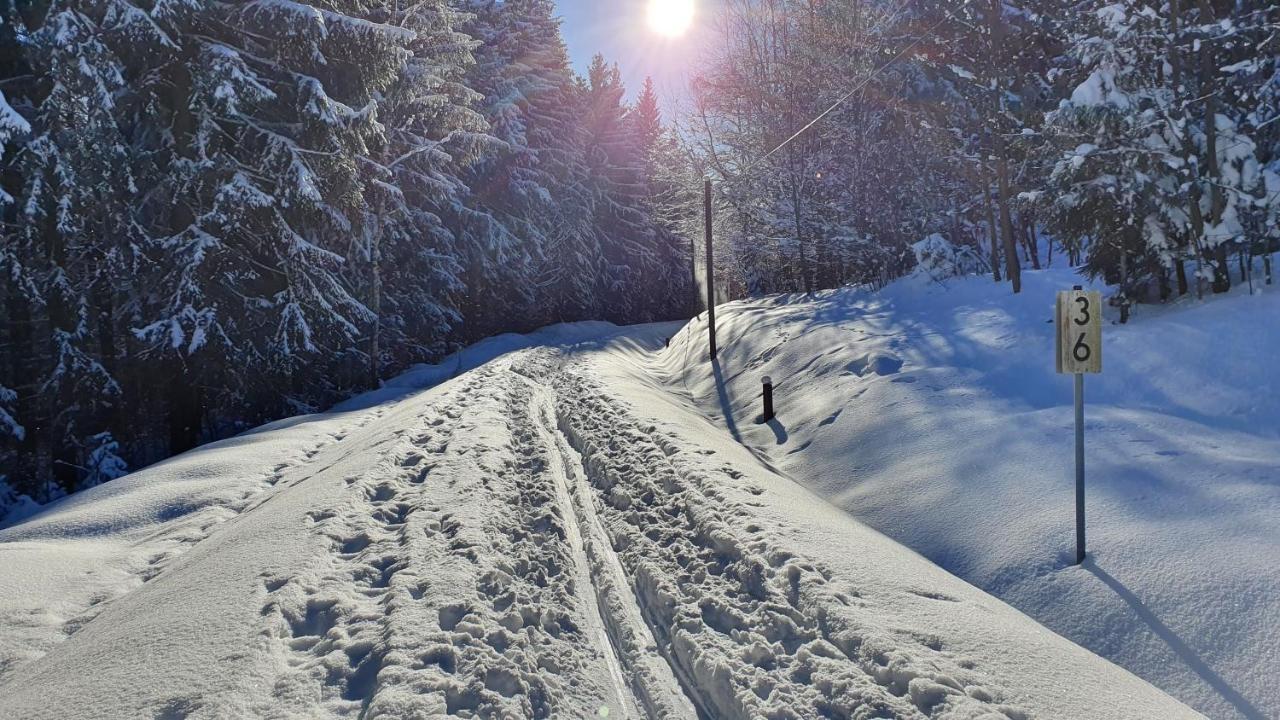 Apartmán Waldhufenidyll Koenigswalde Im Erzgebirge Konigswalde Exteriér fotografie