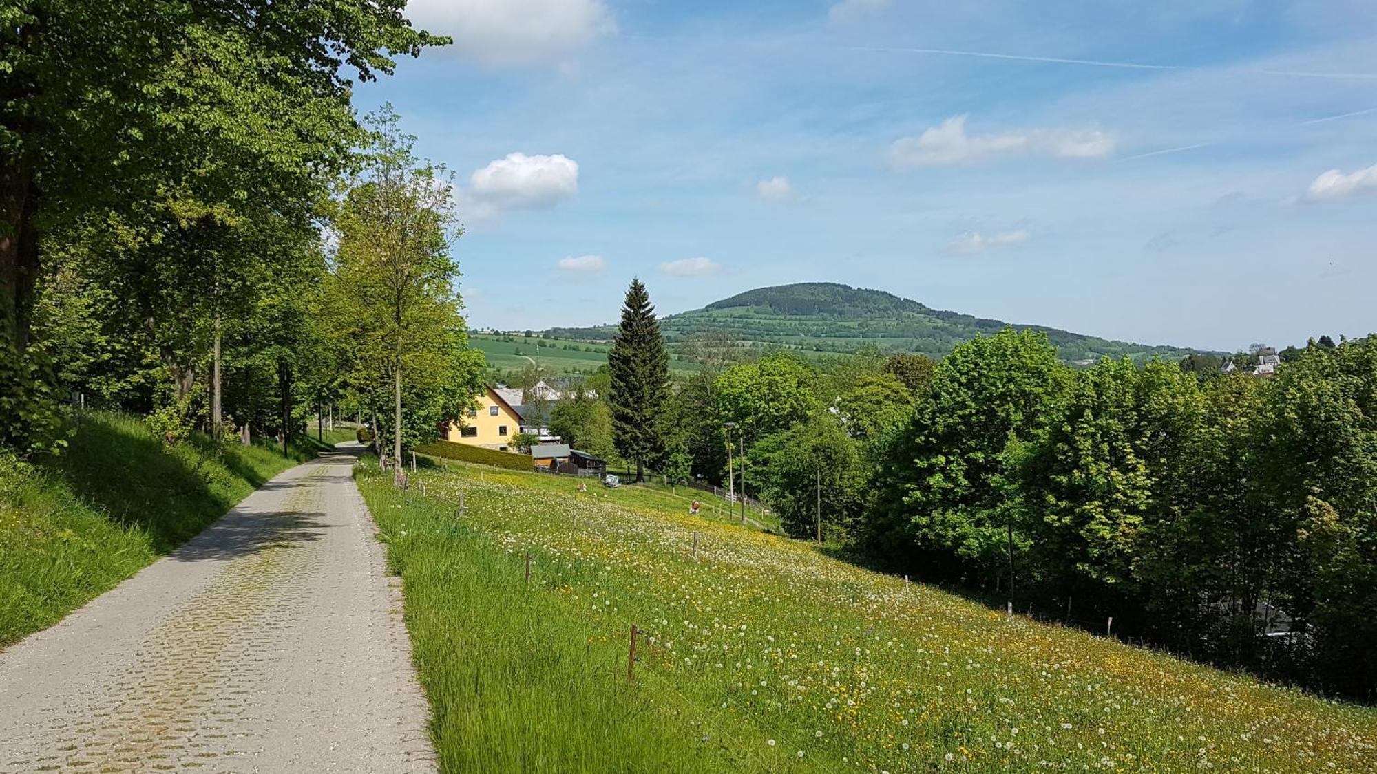 Apartmán Waldhufenidyll Koenigswalde Im Erzgebirge Konigswalde Exteriér fotografie